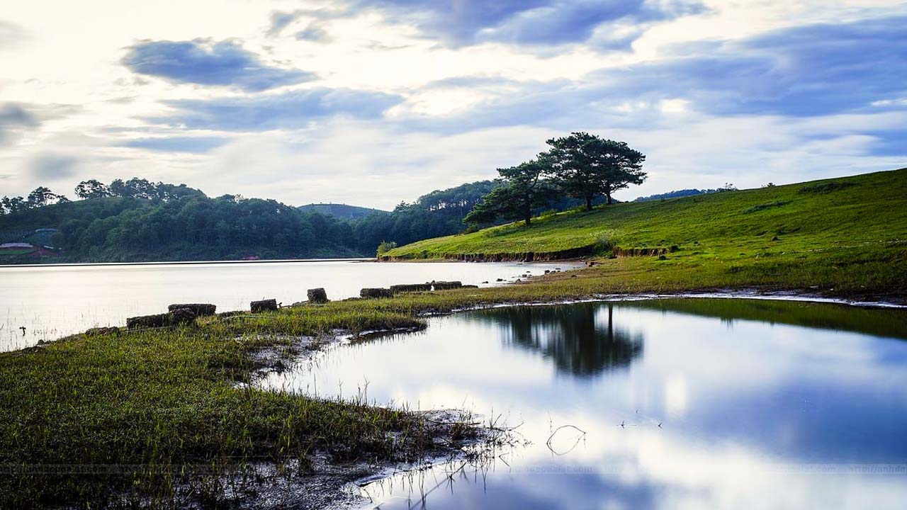 Suối Vàng Đà Lạt